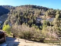 For sale - Finca - Alcoy