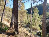 For sale - Finca - Alcoy