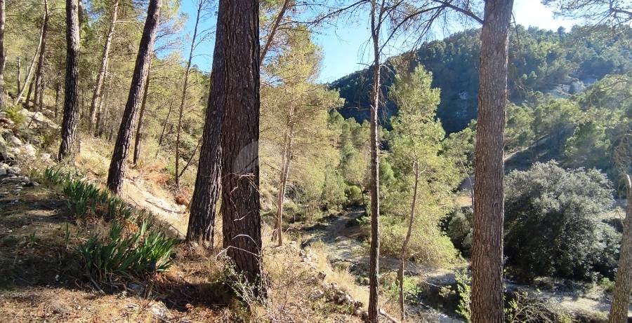 For sale - Finca - Alcoy