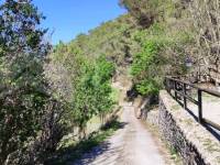 Venta - Finca - Alcoy