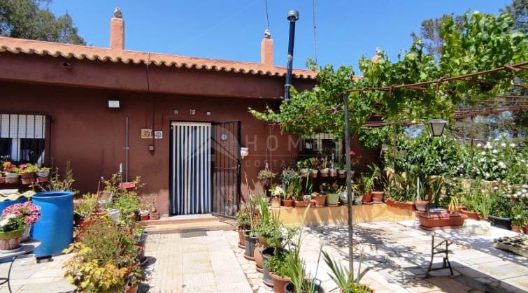 Casa de Campo - Venta - Villalonga - Villalonga