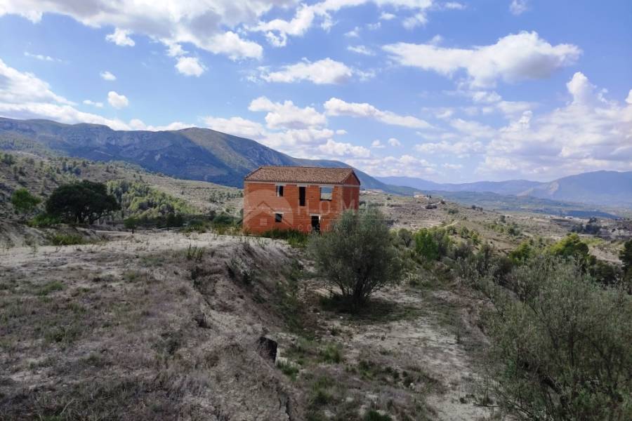 New Construction - Country House - Planes