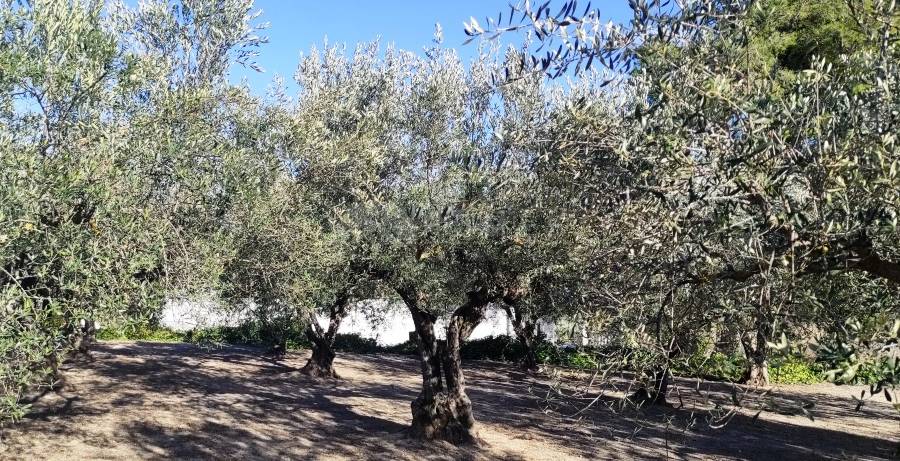 Venta - Casa de Campo - Muro de Alcoy