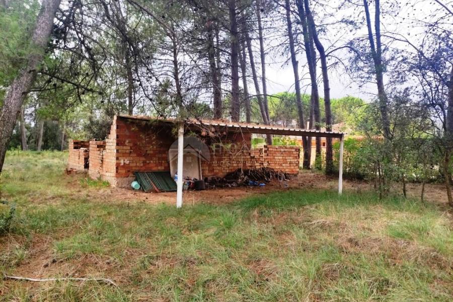 Venta - Casa de Campo - Bocairent