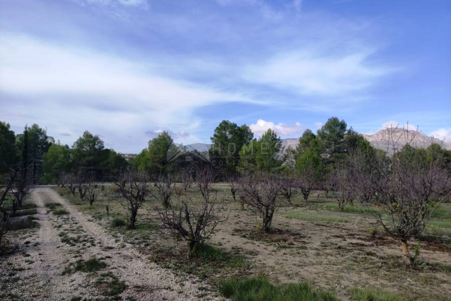 Venta - Casa de Campo - Planes