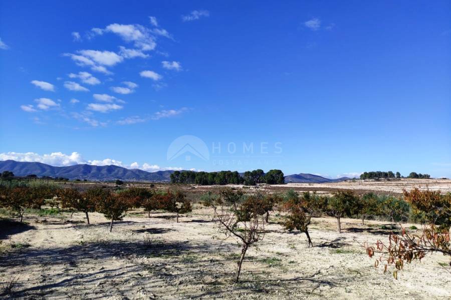 Venta - Casa de Campo - Albaida