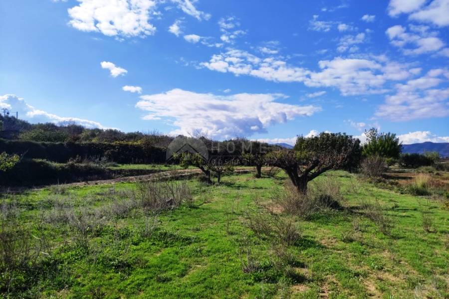 Venta - Casa de Campo - Albaida