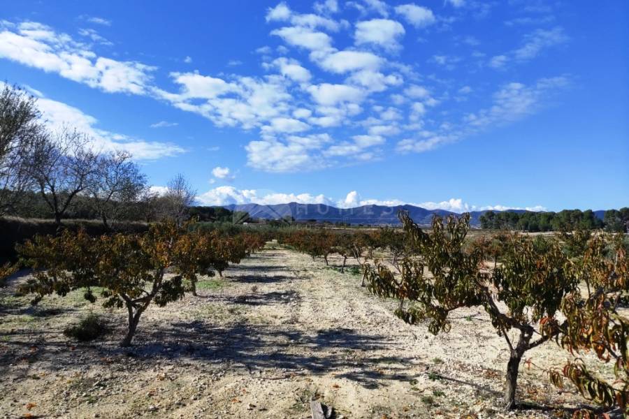 Venta - Casa de Campo - Albaida