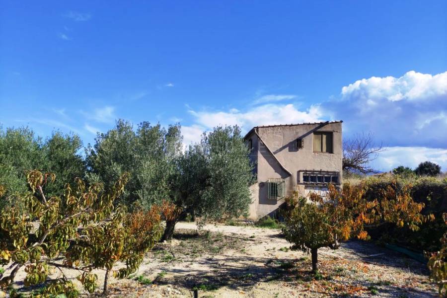 Venta - Casa de Campo - Albaida