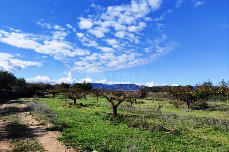 Venta - Casa de Campo - Albaida