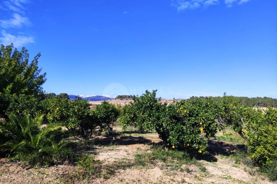 Venta - Casa de Campo - Albaida