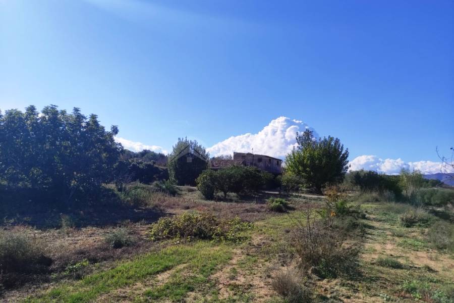 Venta - Casa de Campo - Albaida