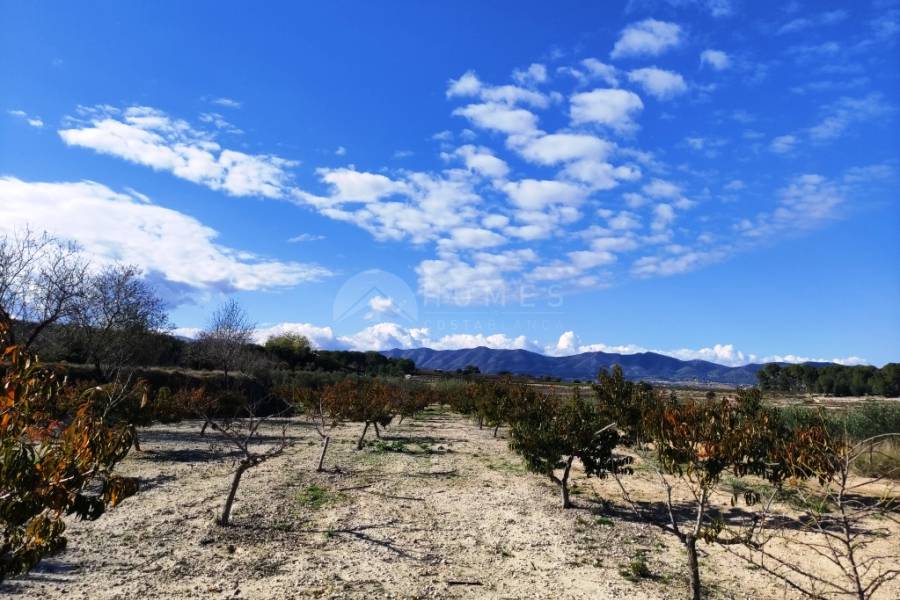 Venta - Casa de Campo - Albaida