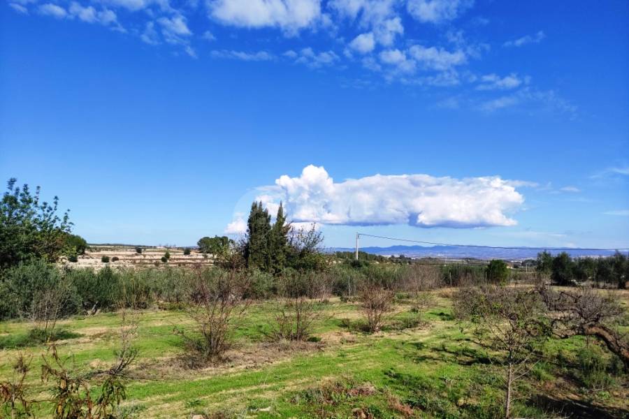 Venta - Casa de Campo - Albaida