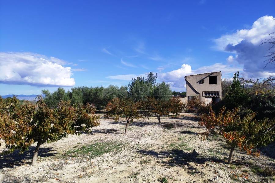 Venta - Casa de Campo - Albaida