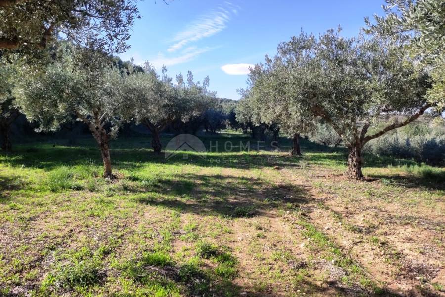 For sale - Country House - Ontinyent