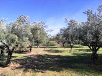 For sale - Country House - Ontinyent