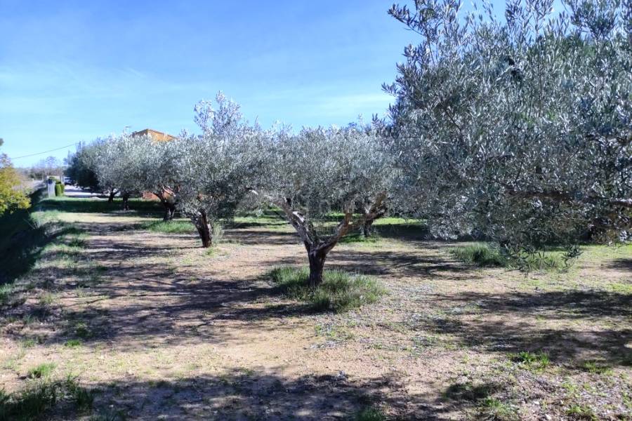 For sale - Country House - Ontinyent