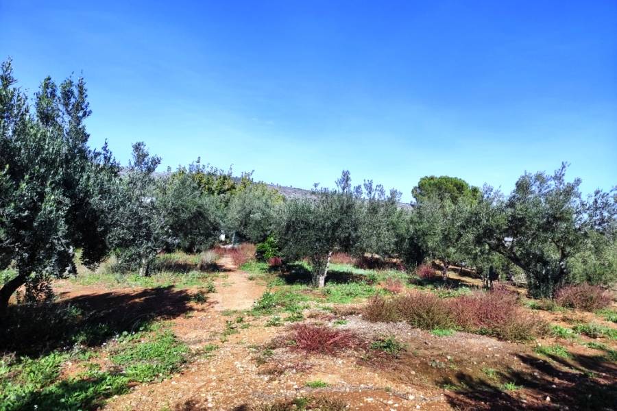 For sale - Country House - Ontinyent