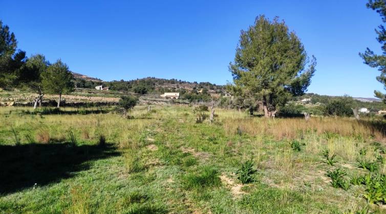 Rustiek land - Te koop - Benissa - Benissa