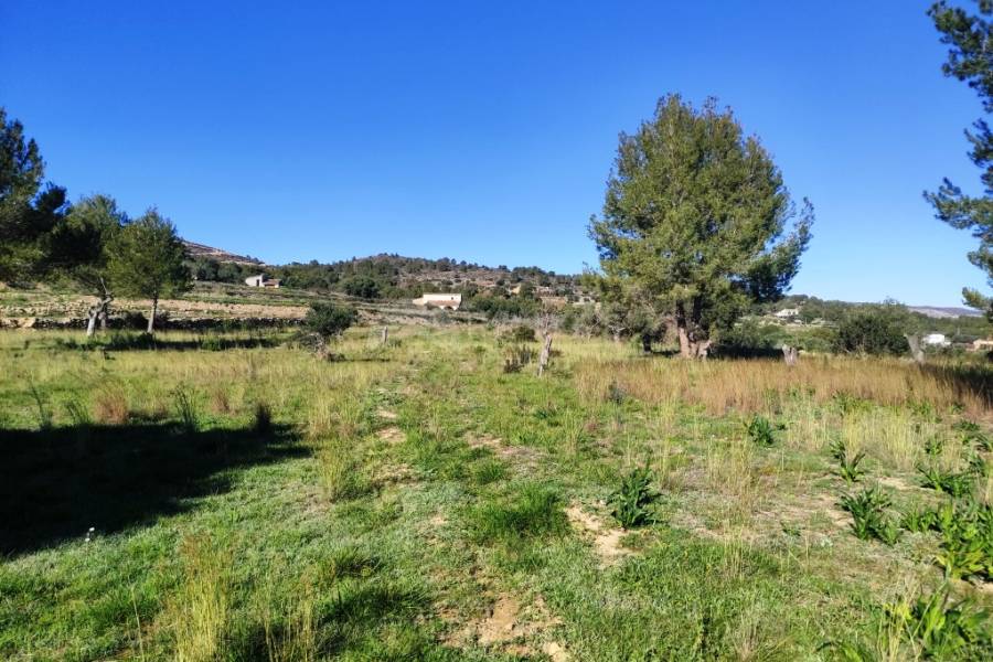 For sale - Rustic Land - Benissa