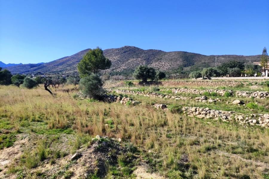 For sale - Rustic Land - Benissa