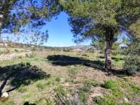 For sale - Rustic Land - Benissa