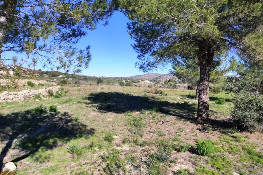 For sale - Rustic Land - Benissa