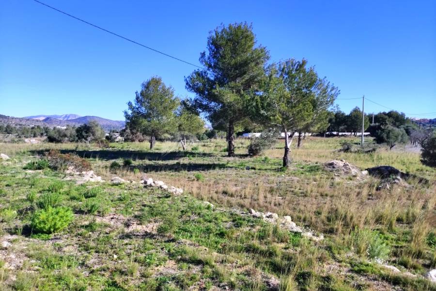 For sale - Rustic Land - Benissa