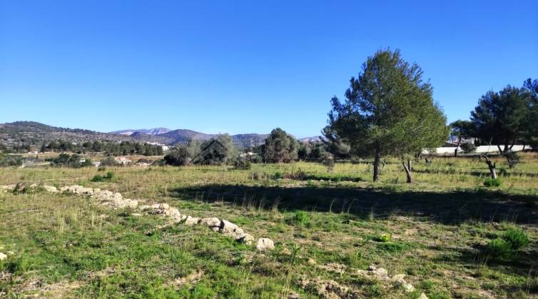 Rustic Land - For sale - Benissa - Benissa