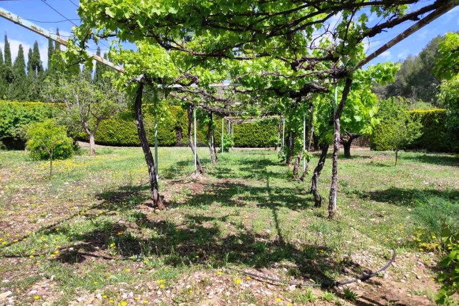 Te koop - Villa - Cocentaina