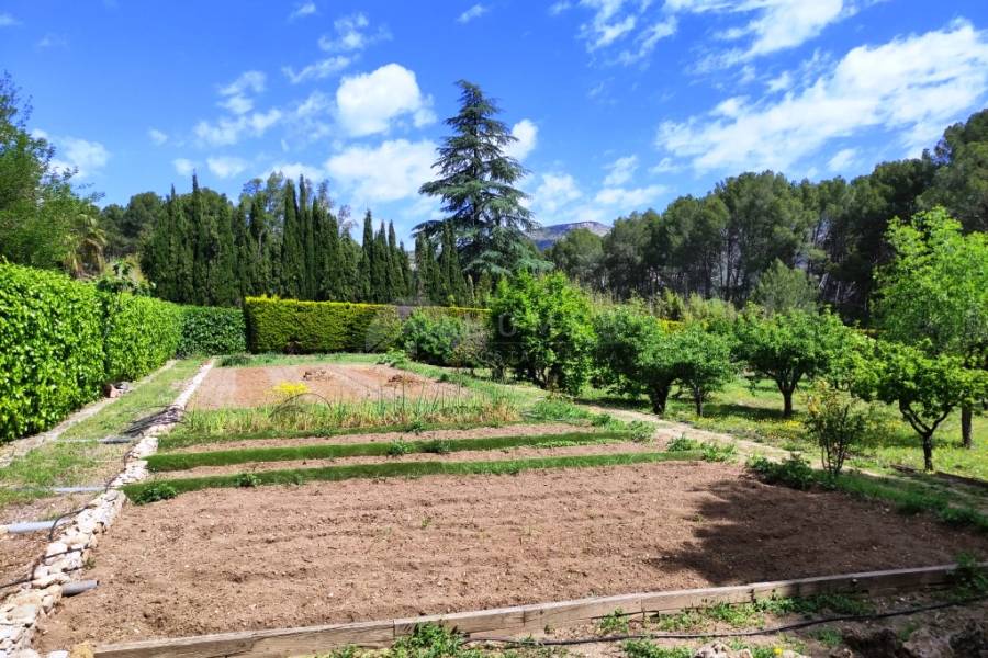 Te koop - Villa - Cocentaina