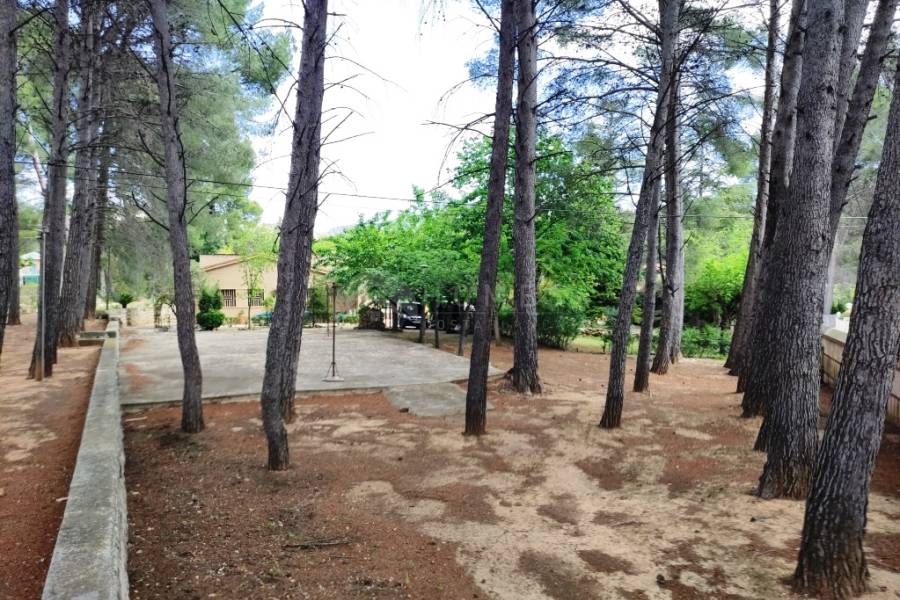 Te koop - Villa - Cocentaina
