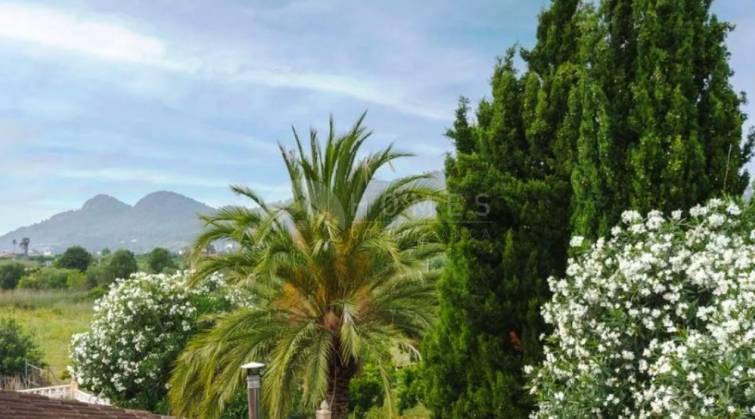 Terraced house - For sale - Pedreguer - Pedreguer