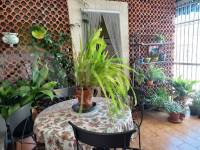 For sale - Apartment - Beniarbeig