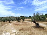 Venta - Casa de Campo - Millena
