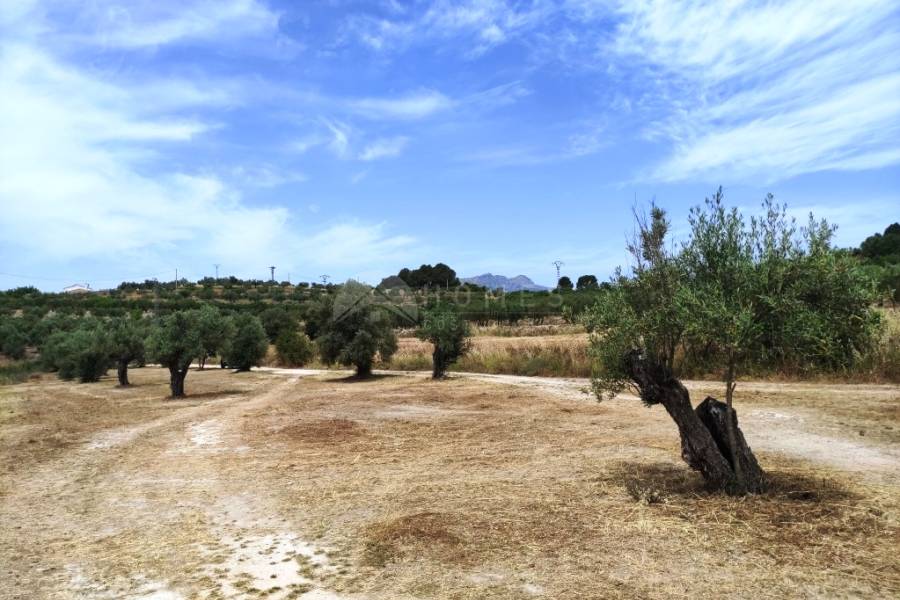 Venta - Casa de Campo - Millena