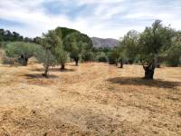 Venta - Casa de Campo - Millena