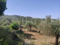 Venta - Casa de Campo - Benillup