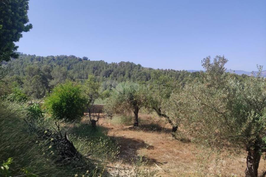 Venta - Casa de Campo - Benillup