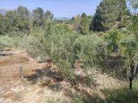 Venta - Casa de Campo - Benillup