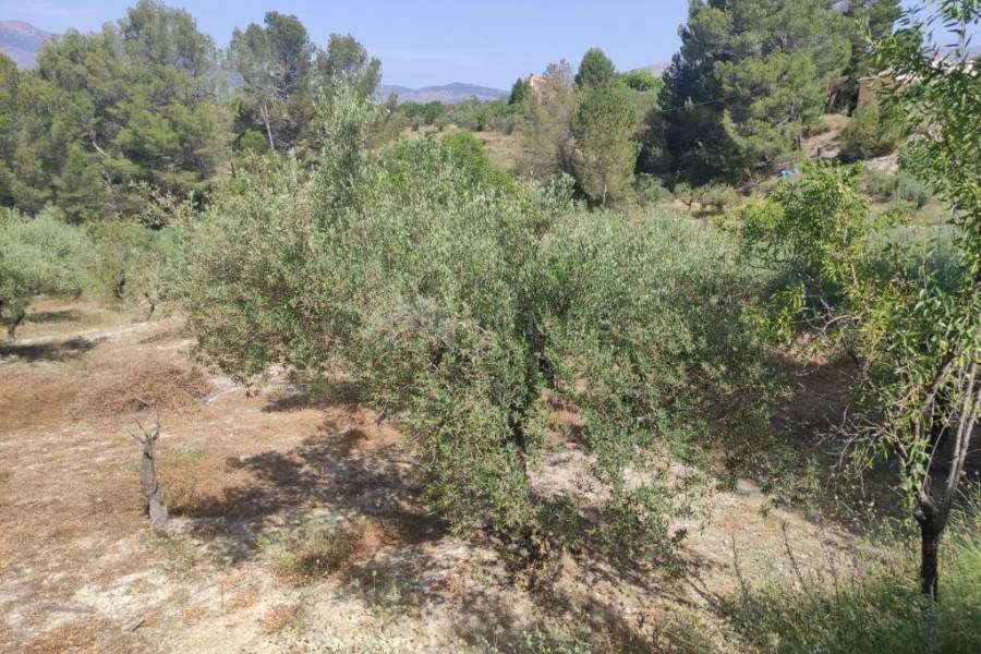 Venta - Casa de Campo - Benillup