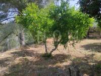 Venta - Casa de Campo - Benillup