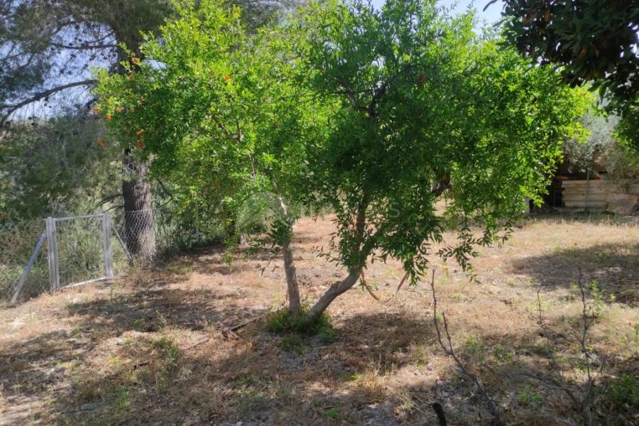 Venta - Casa de Campo - Benillup