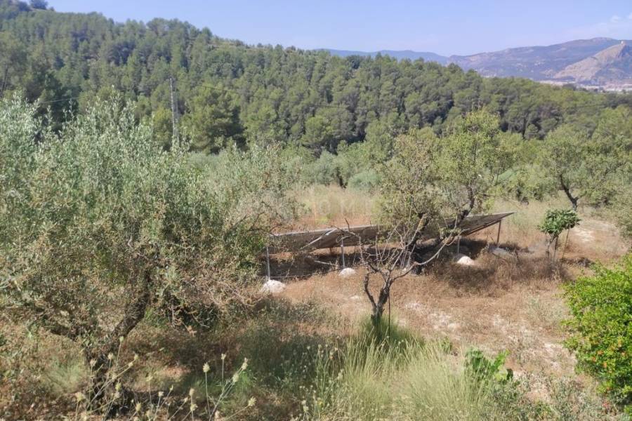 Venta - Casa de Campo - Benillup