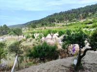 For sale - Country House - Penáguila