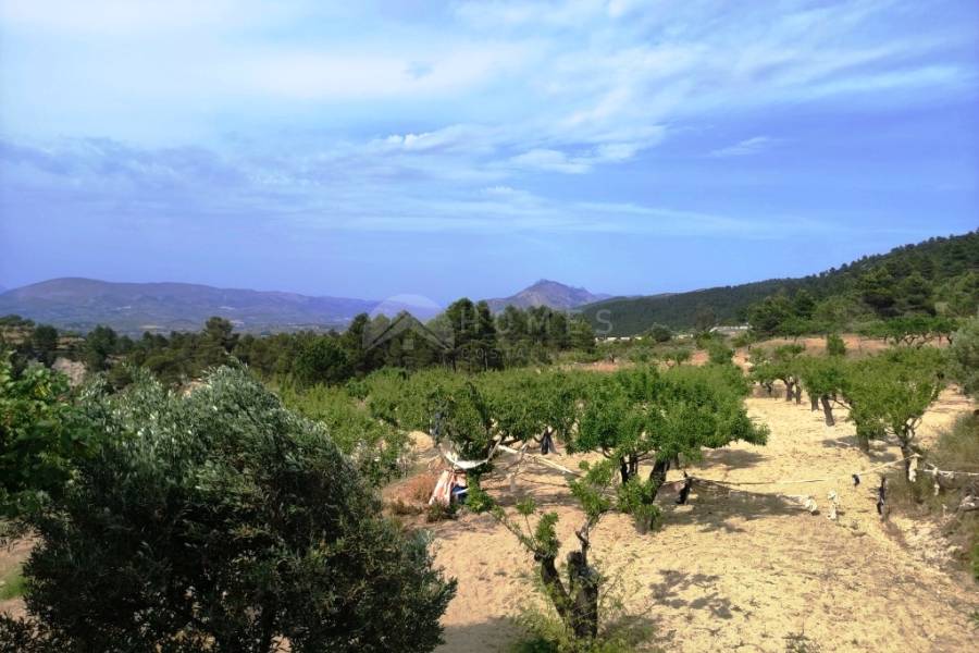 For sale - Country House - Penáguila