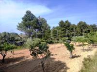 For sale - Country House - Penáguila