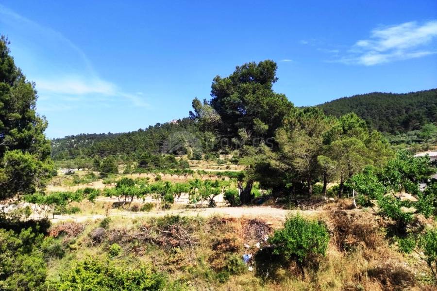 For sale - Country House - Penáguila