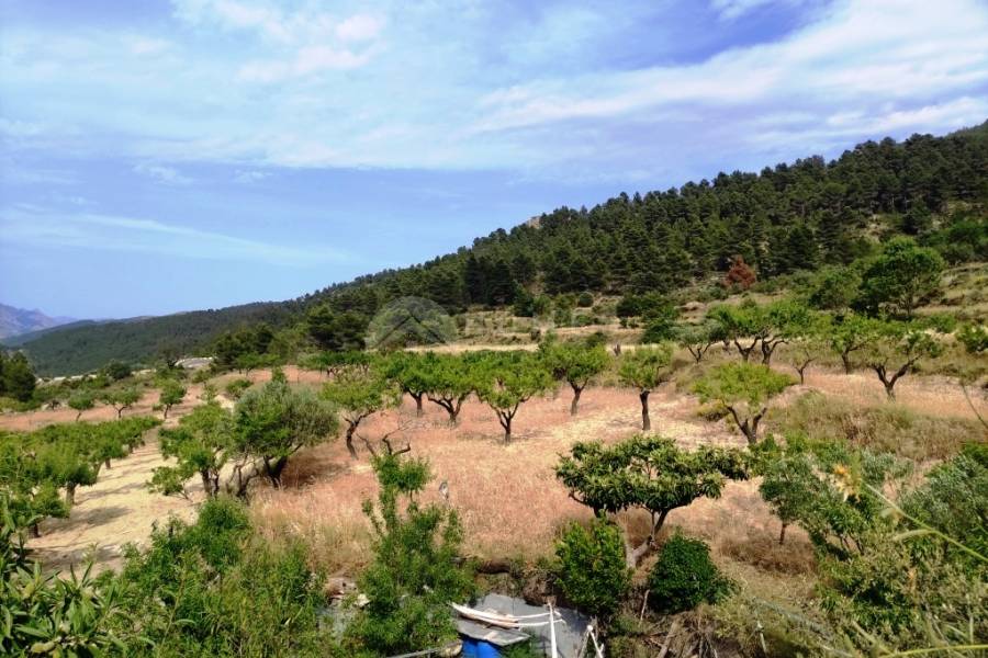 For sale - Country House - Penáguila